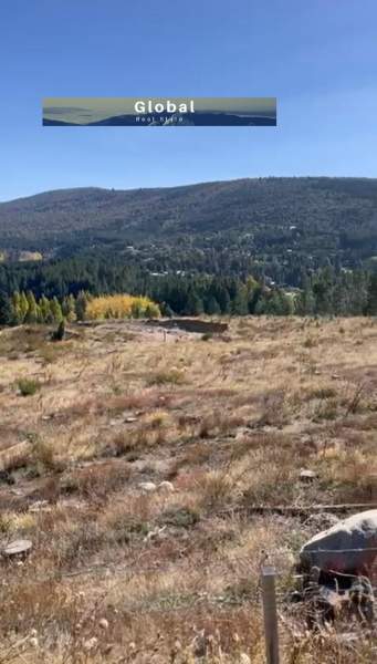 LOTE DE 1,2203 Has RUTA 40 SAN MARTÍN DE LOS ANDES PATAGONIA ARGENTINA - 8
