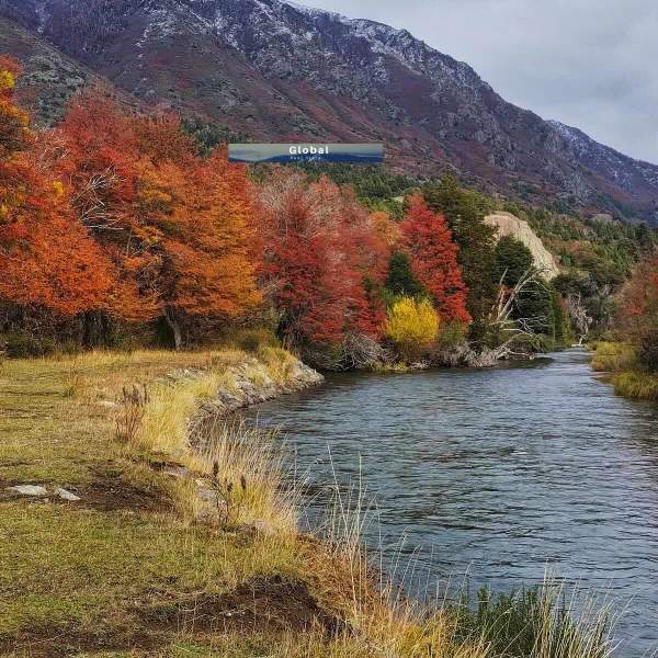 EXCELENTE CAMPO RUTA SIETE LAGOS, SAN MARTÍN DE LOS ANDES PATAGONIA ARGENTINA - 3