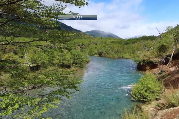 EXCELENTE CAMPO RUTA SIETE LAGOS, SAN MARTÍN DE LOS ANDES PATAGONIA ARGENTINA - 13