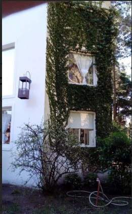 Cariló | Casa Paraíso — foto 5