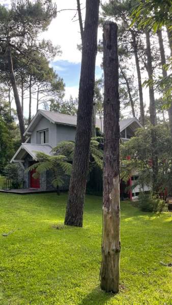 Carilo | Casa Silana — foto 4