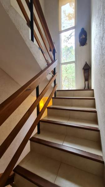 En Cariló | Casa Pino Torres - 12