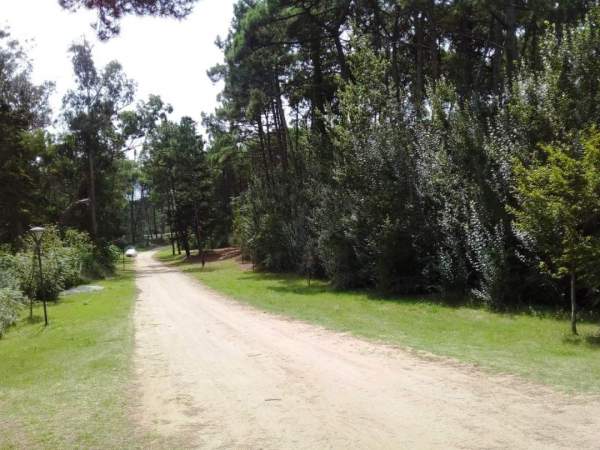 En Cariló | Lotes de Extensión Urbana ( manzana 346 lote 3-4-5-6- individuales ) - 7